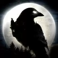 Night Crow
